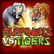 Elephants vs Tigers